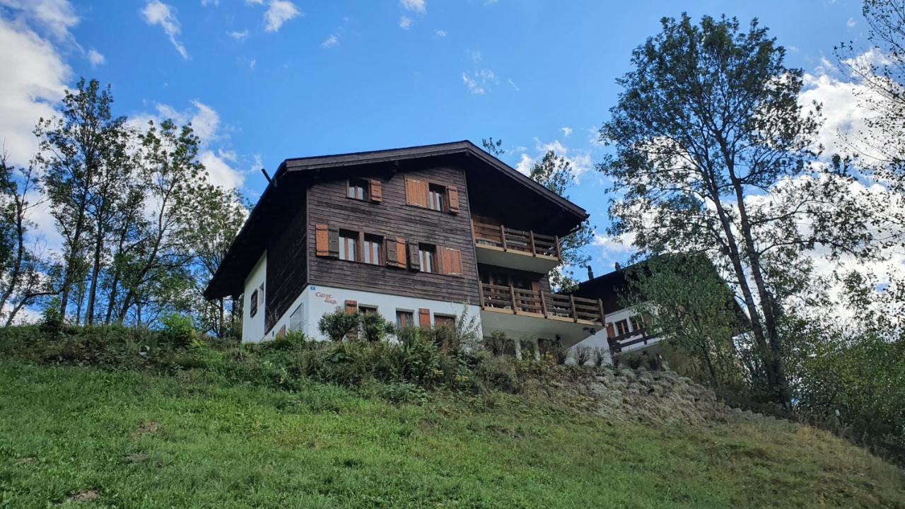 Ferienwohnung Chalet Carpe Diem Fieschertal Exterior foto